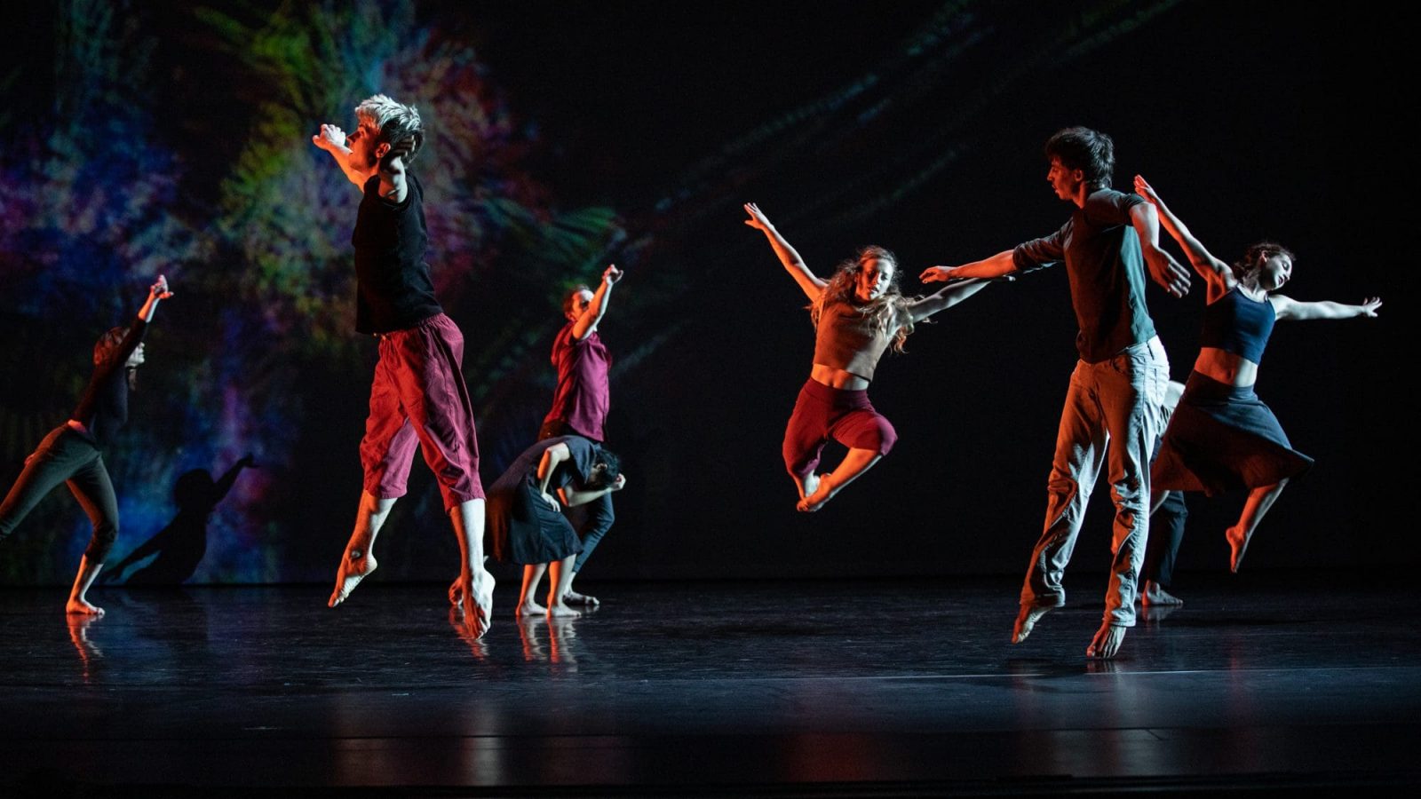 5-by-Maria-Baranova-Suzuki-Doron