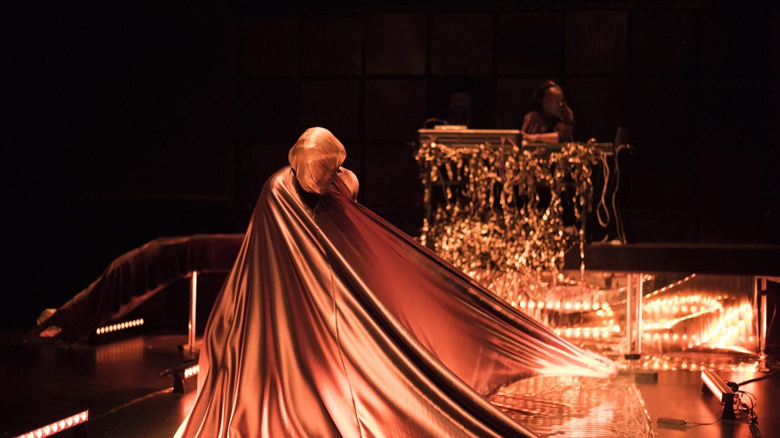 Chameleon-courtesy-of-EMPAC-1-1