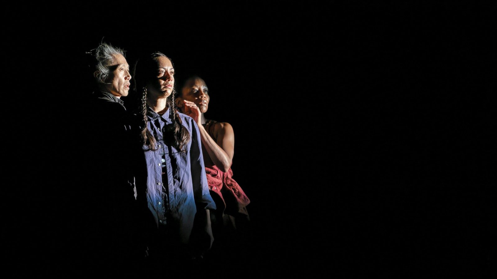 Photo by metlili.net