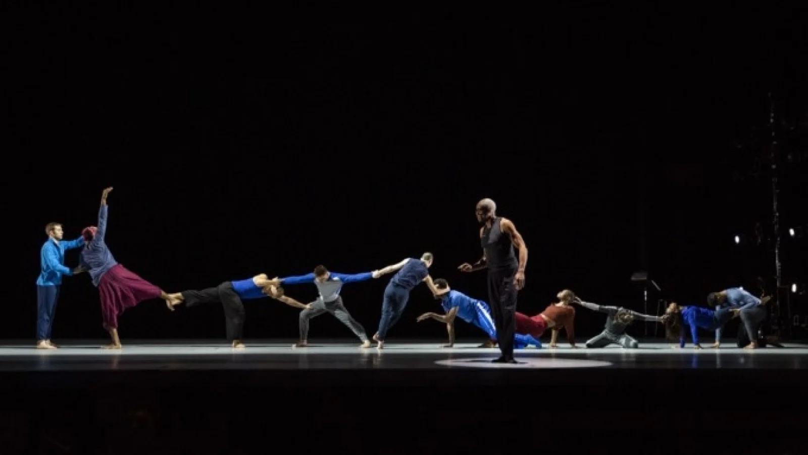 WHAT PROBLEM? BILL T JONES ARNIE ZANE